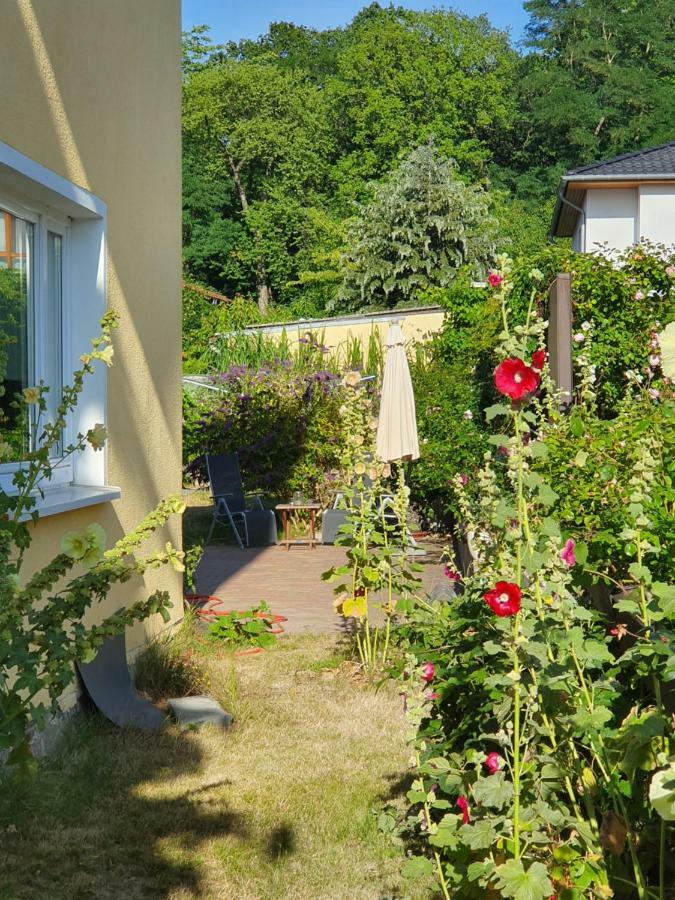 Ferienwohnung Paul Zinnowitz Bagian luar foto